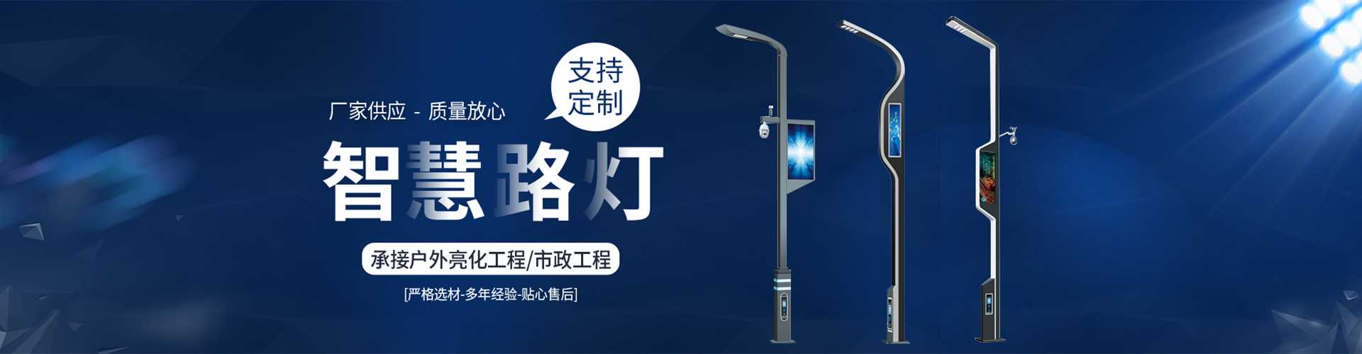 海棠区太阳能路灯定制厂家