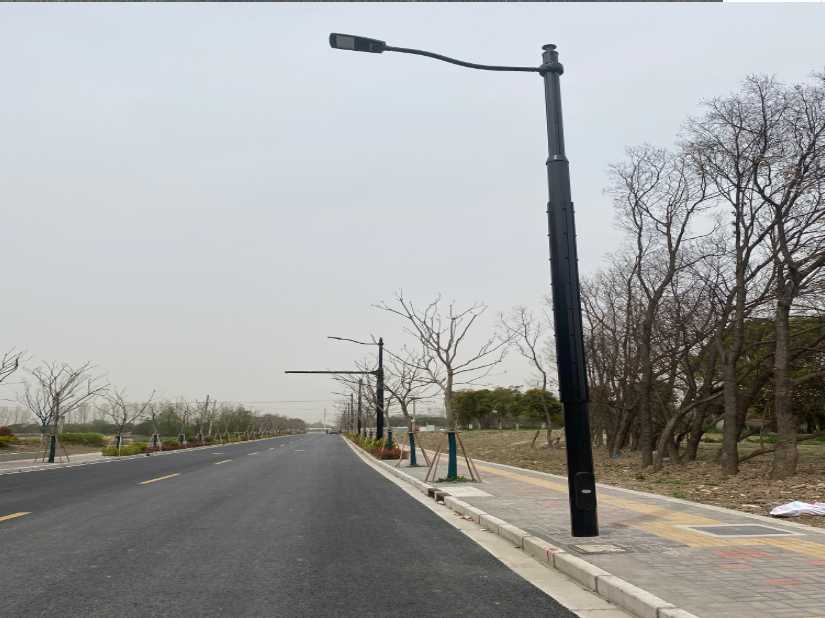 海棠区上海综合杆 太阳能路灯工程